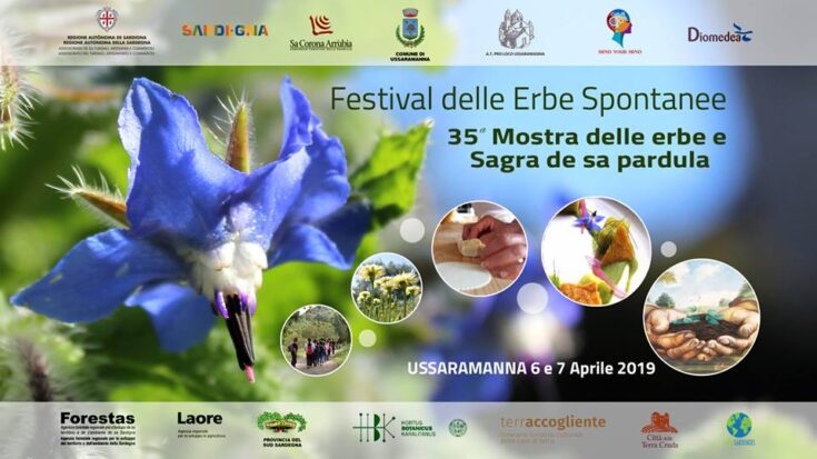 Locandina-Festival