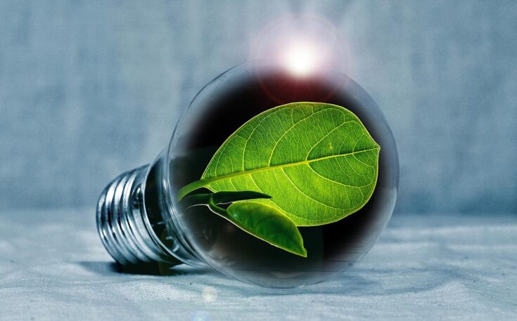 light-bulb-2631864_1920