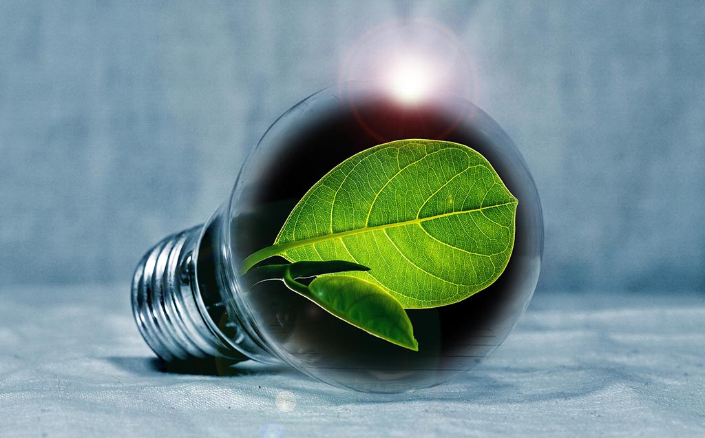 light-bulb-2631864_1920