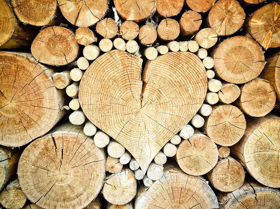 tronchi-legno-con-cuore