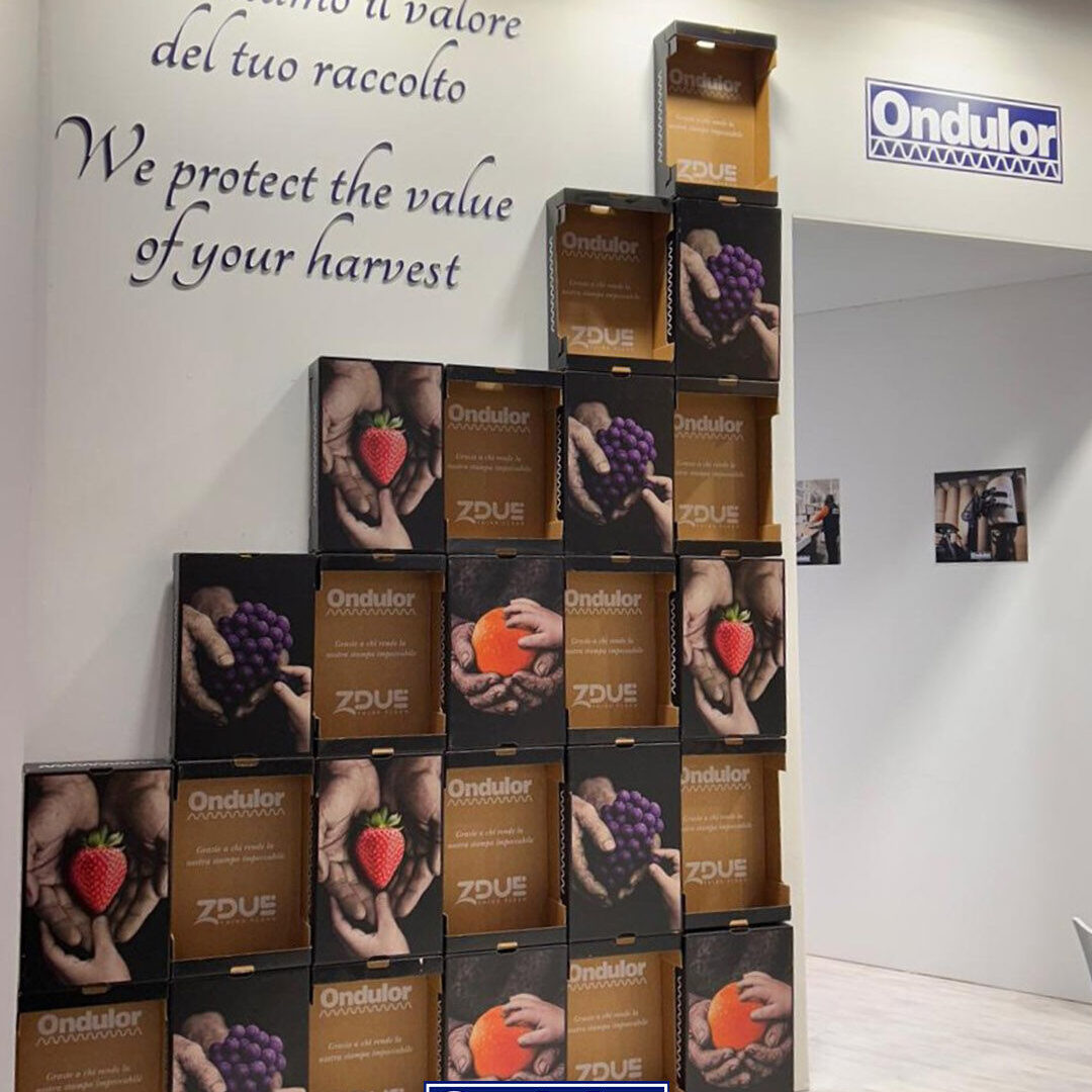 Esposizione di imballaggi in cartone ondulato Ondulor per frutta e verdura a Fruit Logistica 2026.